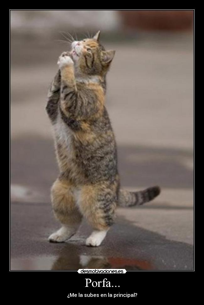Porfa... - ¿Me la subes en la principal?