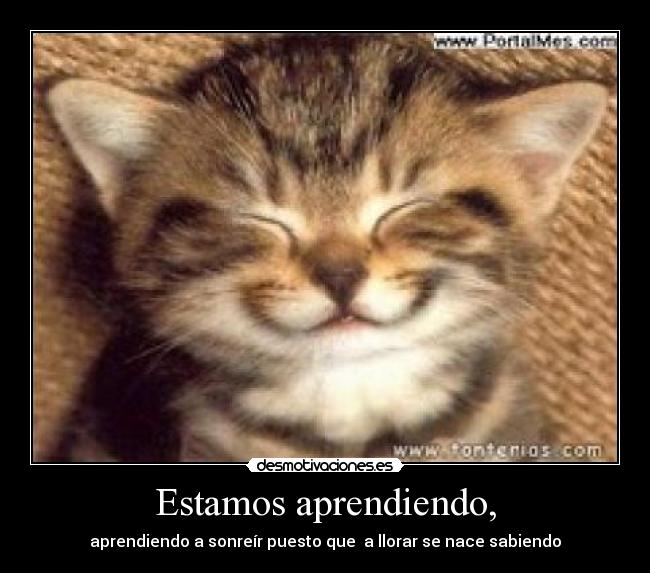 Estamos aprendiendo, - aprendiendo a sonreír puesto que  a llorar se nace sabiendo