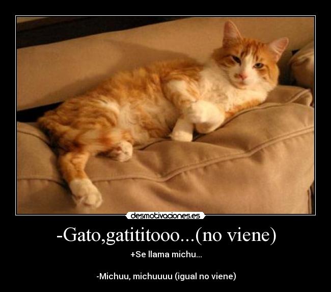 -Gato,gatititooo...(no viene) -