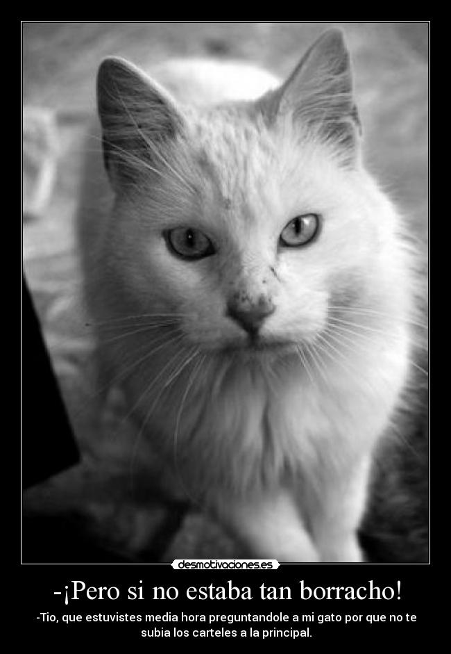 -¡Pero si no estaba tan borracho! - -Tio, que estuvistes media hora preguntandole a mi gato por que no te
subia los carteles a la principal.