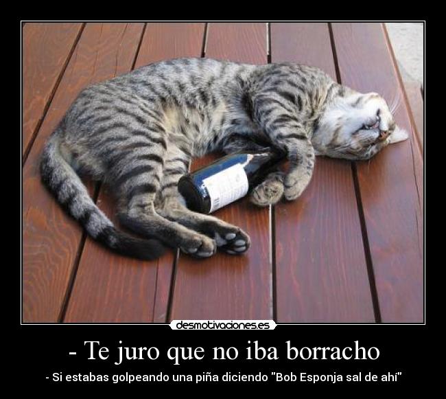 - Te juro que no iba borracho - - Si estabas golpeando una piña diciendo Bob Esponja sal de ahí