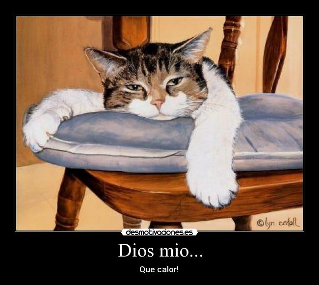 Dios mio... - 