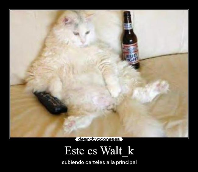 Este es Walt_k - subiendo carteles a la principal