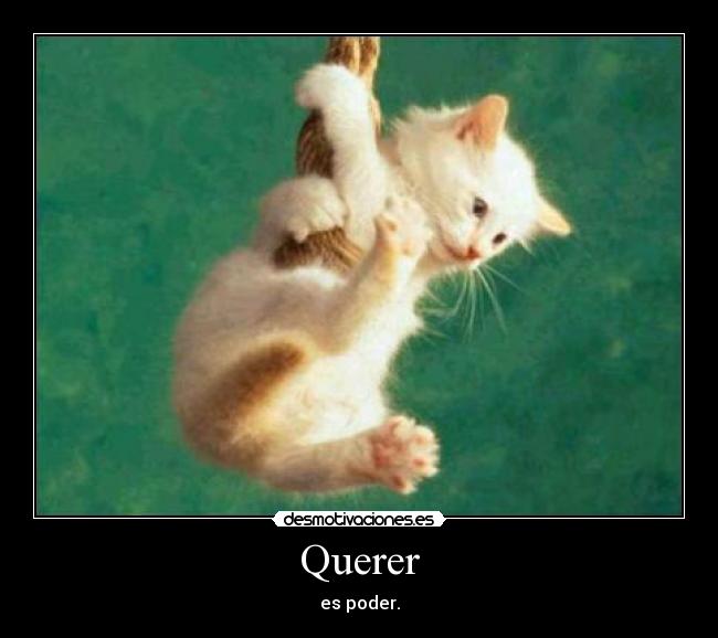 Querer -
