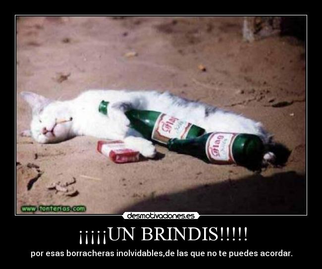 ¡¡¡¡¡UN BRINDIS!!!!! - por esas borracheras inolvidables,de las que no te puedes acordar.