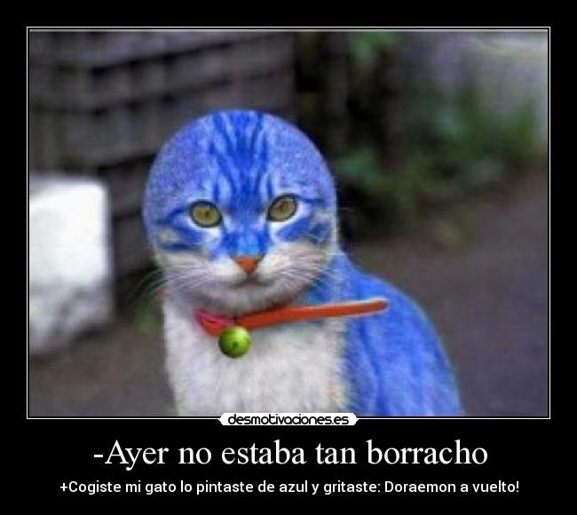 -Ayer no estaba tan borracho -