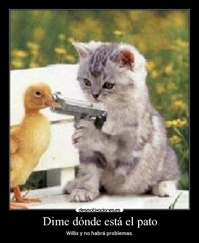 Dime dónde está el pato -