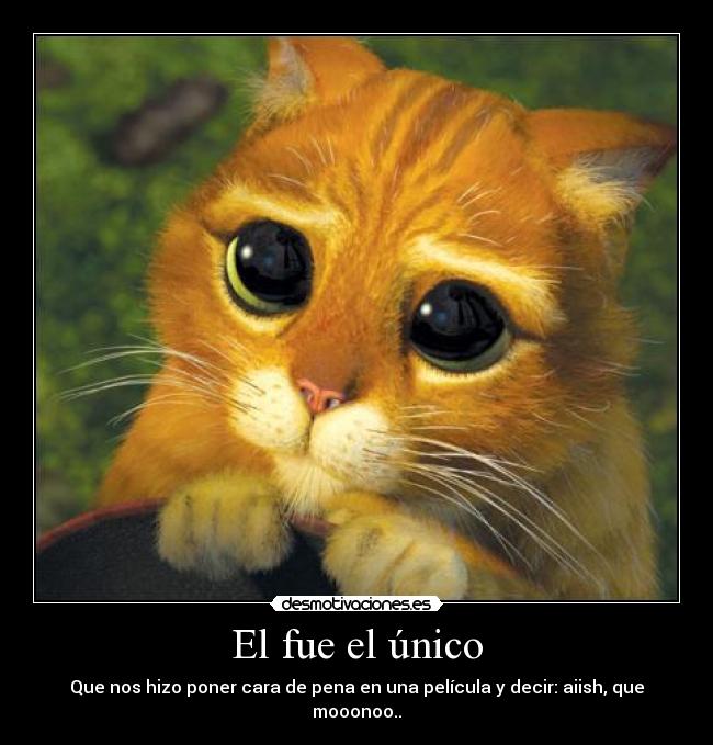 carteles gato pena pelicula desmotivaciones