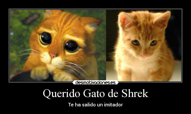 Querido Gato de Shrek - Te ha salido un imitador