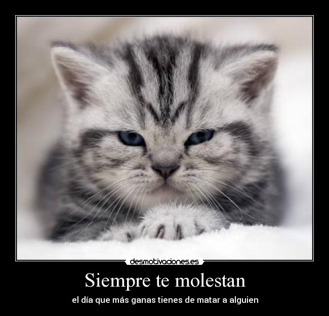 Siempre te molestan - el día que más ganas tienes de matar a alguien