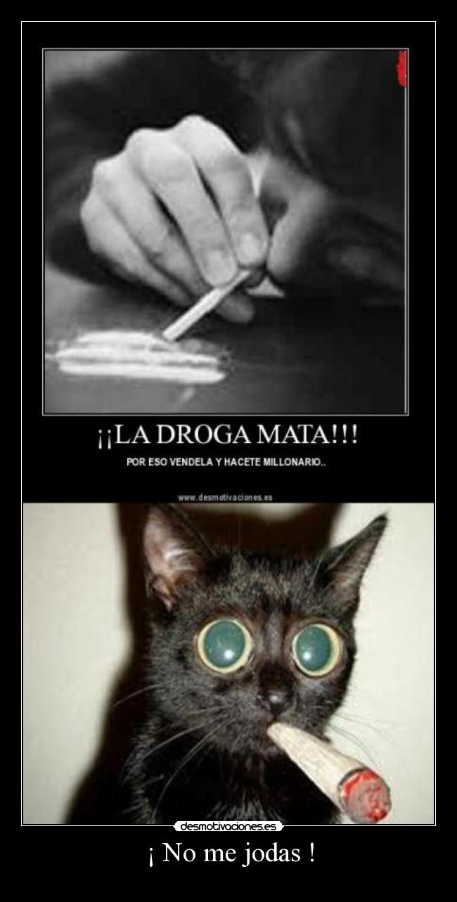 ¡ No me jodas ! -