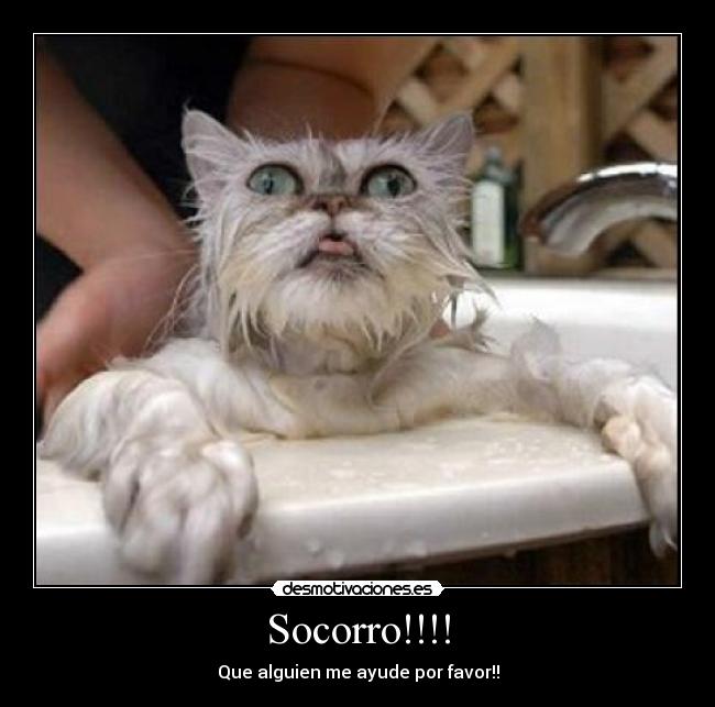 Socorro!!!! - 