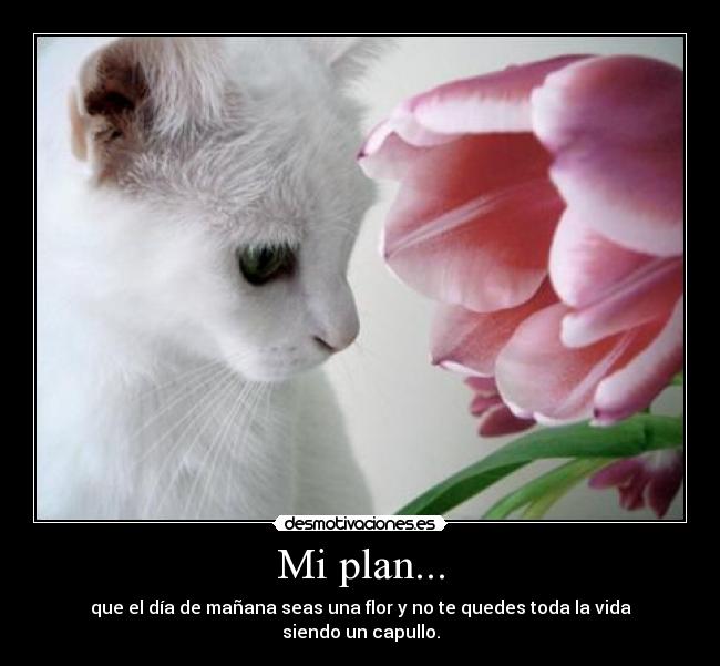 carteles wwwdesmotivacioneses desmotivaciones