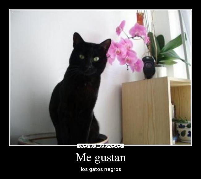 carteles subanlo principal desmotivaciones