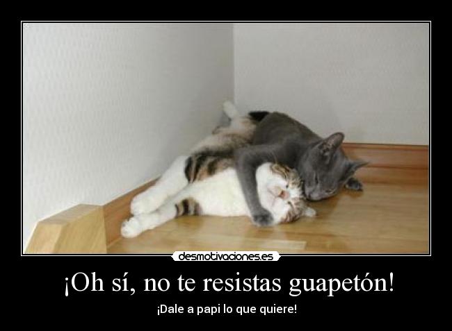 ¡Oh sí, no te resistas guapetón! -