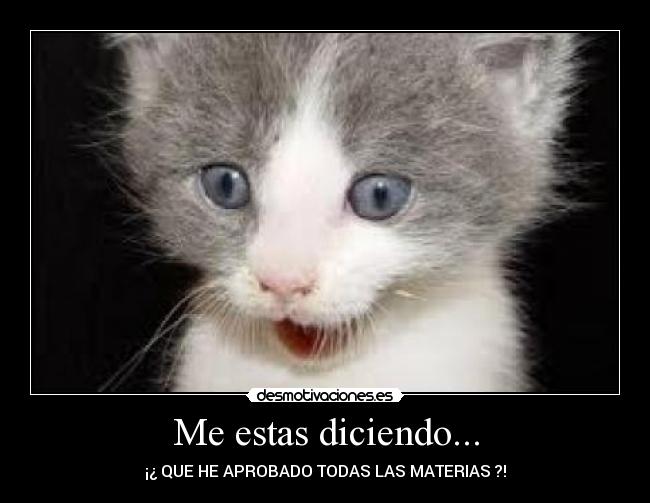 Me estas diciendo... - ¡¿ QUE HE APROBADO TODAS LAS MATERIAS ?!