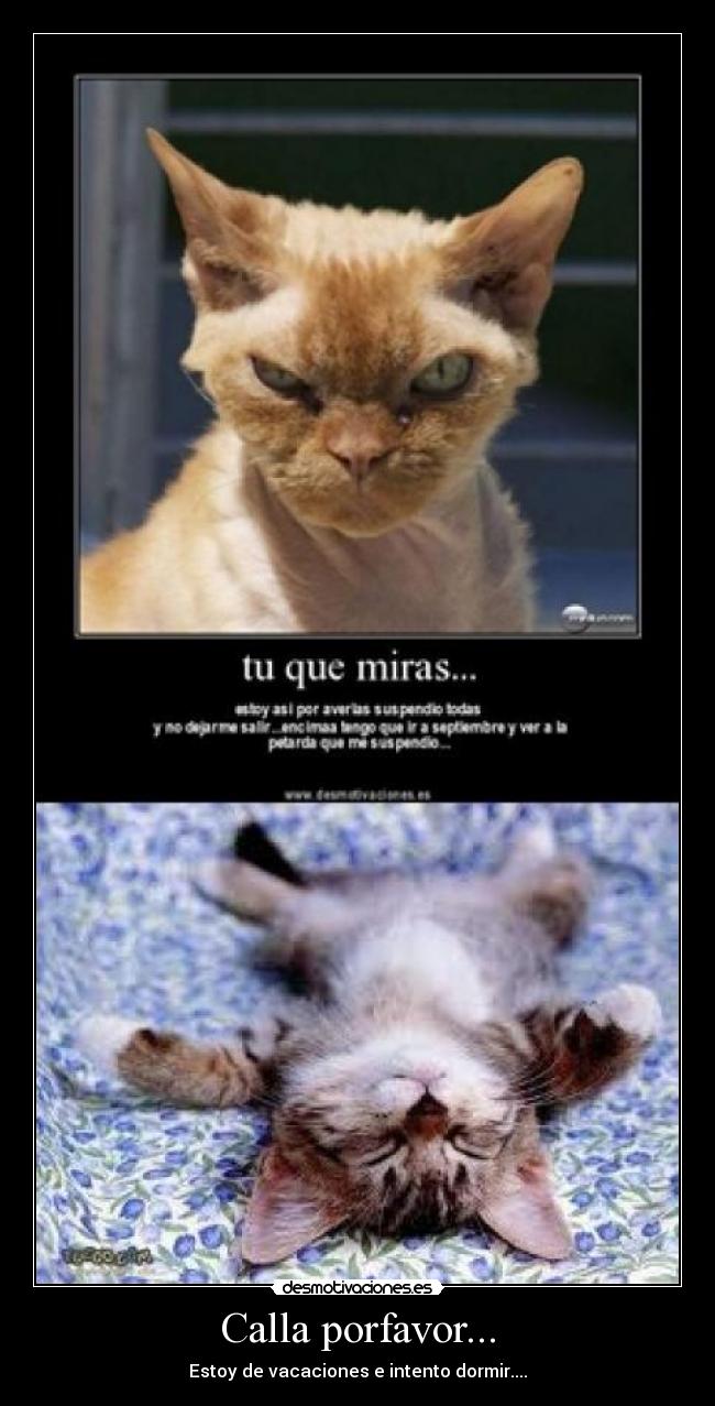Calla porfavor... - Estoy de vacaciones e intento dormir....