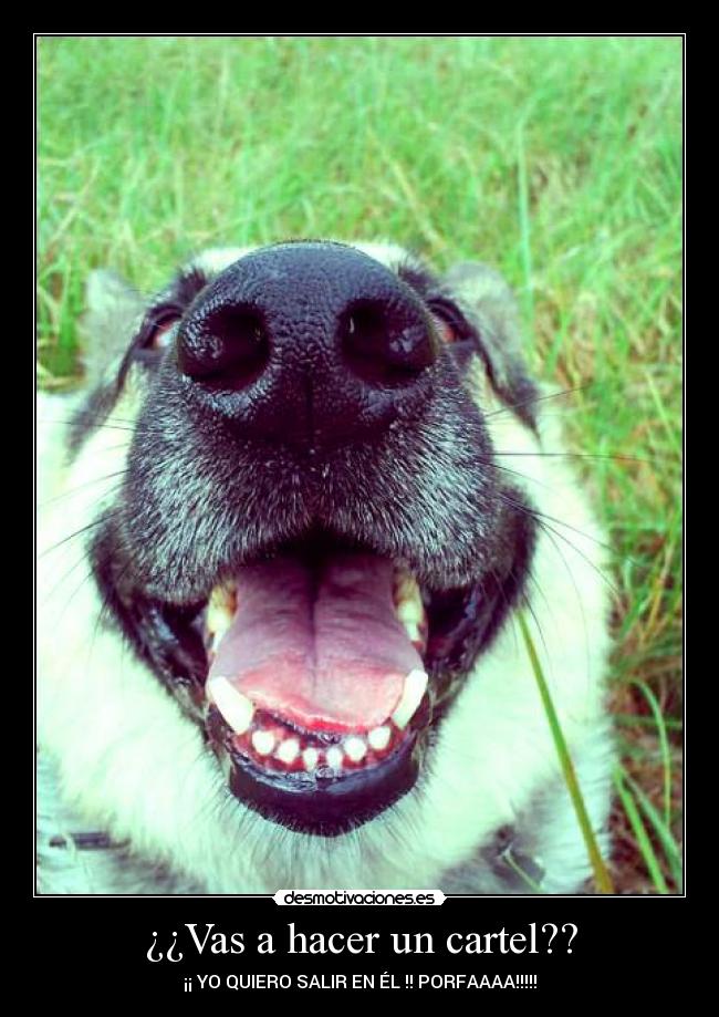 ¿¿Vas a hacer un cartel?? - ¡¡ YO QUIERO SALIR EN ÉL !! PORFAAAA!!!!!