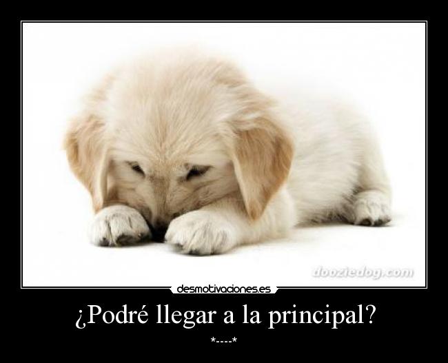 ¿Podré llegar a la principal? - *----*