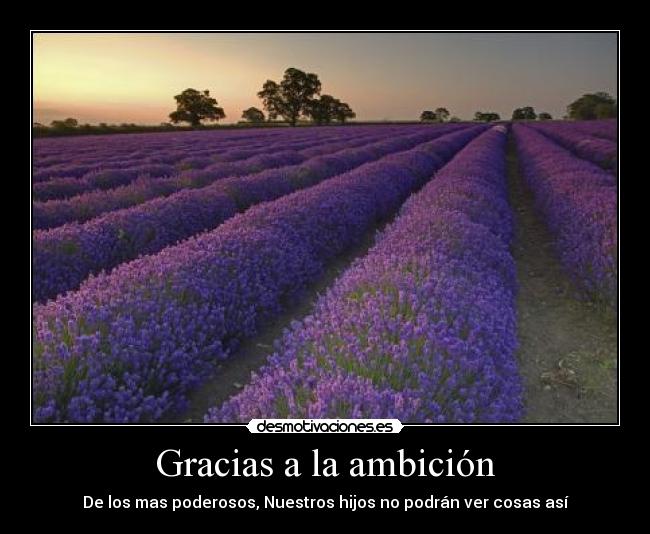 carteles mundo mierda desmotivaciones