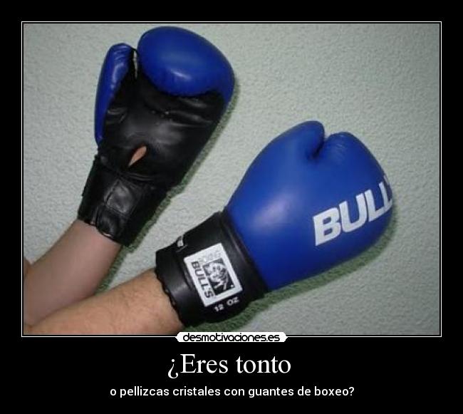 ¿Eres tonto  - o pellizcas cristales con guantes de boxeo?