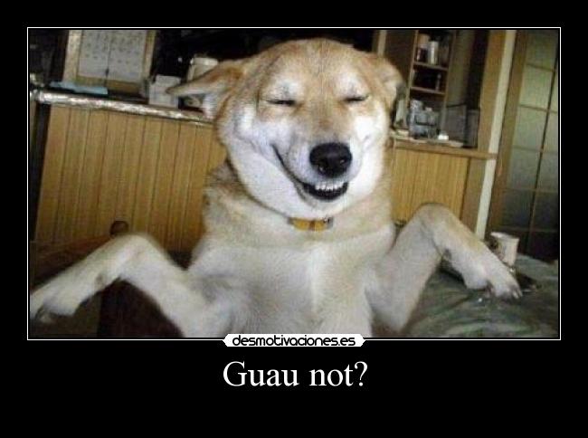 Guau not? - 