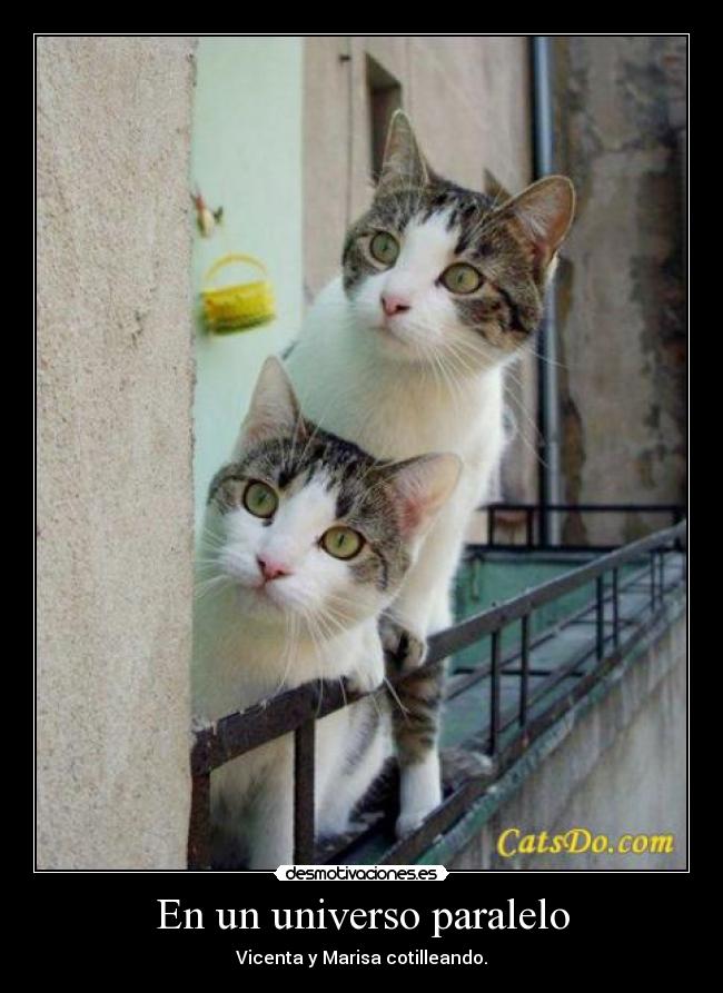 En un universo paralelo - Vicenta y Marisa cotilleando.