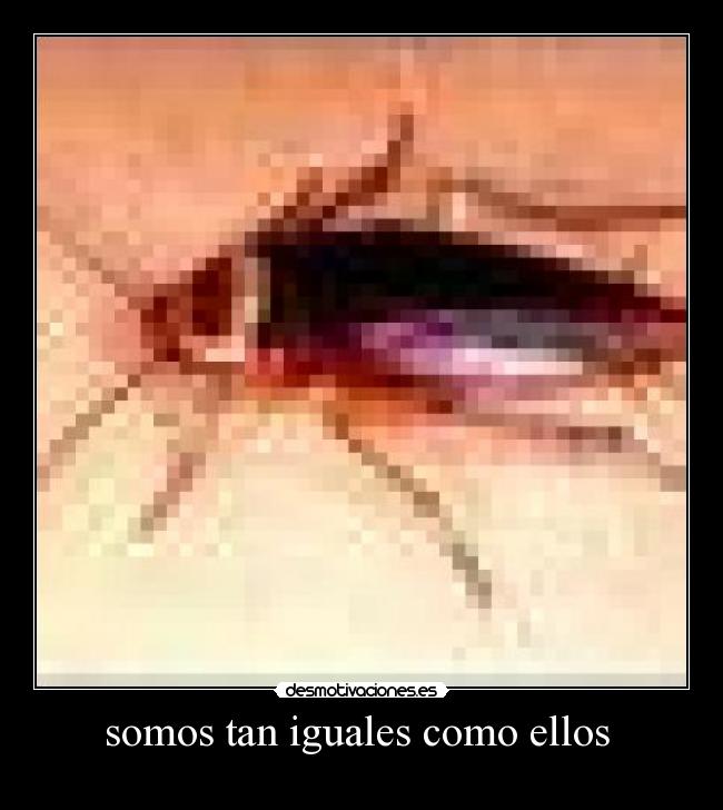 carteles somos tan iguales como ellos estamos molestando todo dia desmotivaciones