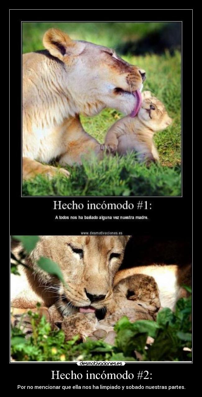 Hecho incómodo #2: -