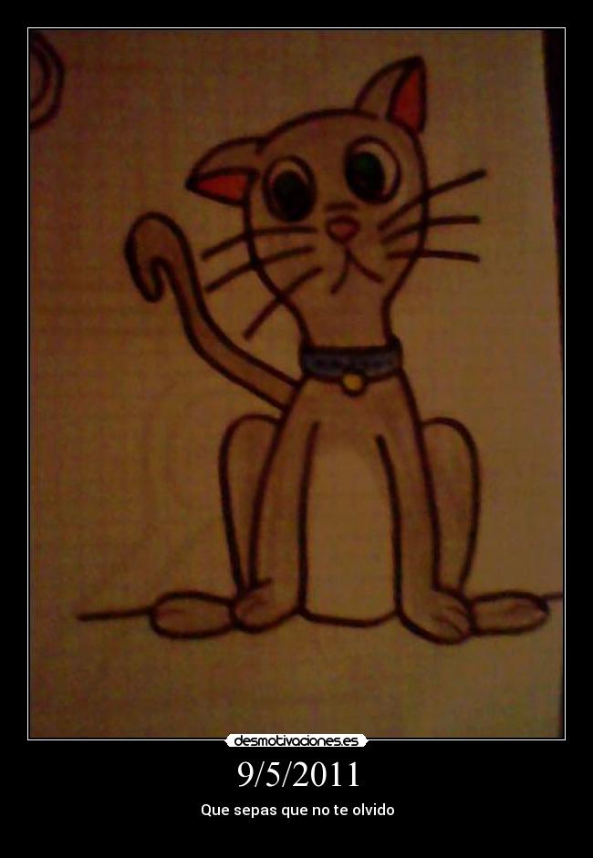 carteles gatosremolon desmotivaciones