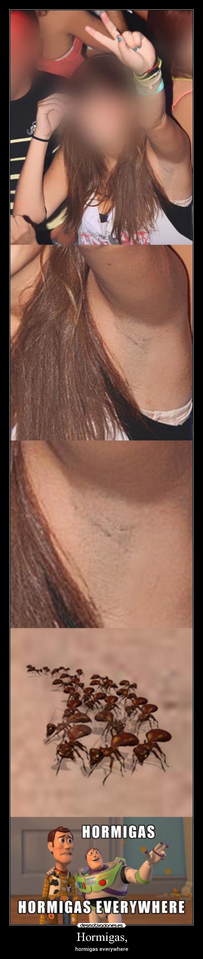 Hormigas, - hormigas everywhere