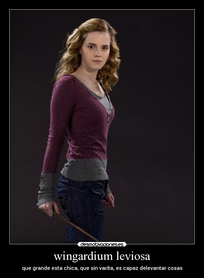 wingardium leviosa - 