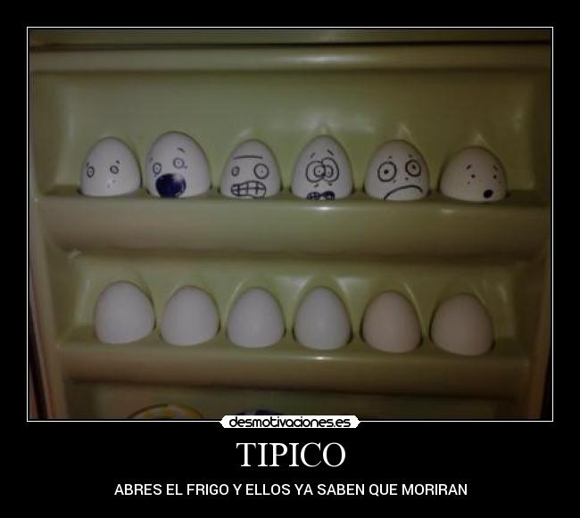 TIPICO - 