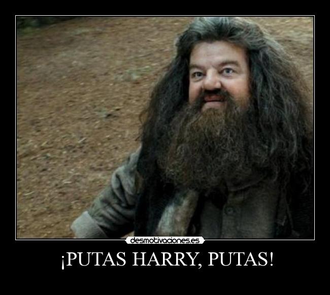 ¡PUTAS HARRY, PUTAS! - 