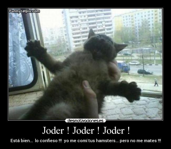 carteles bhwreth desmotivaciones