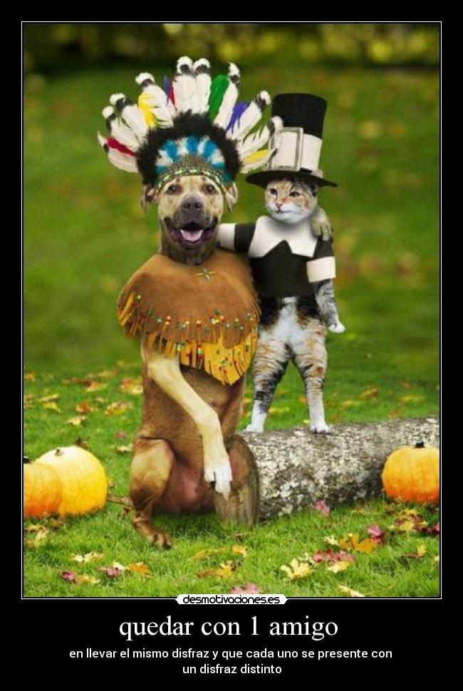 quedar con 1 amigo  - en llevar el mismo disfraz y que cada uno se presente con 
un disfraz distinto