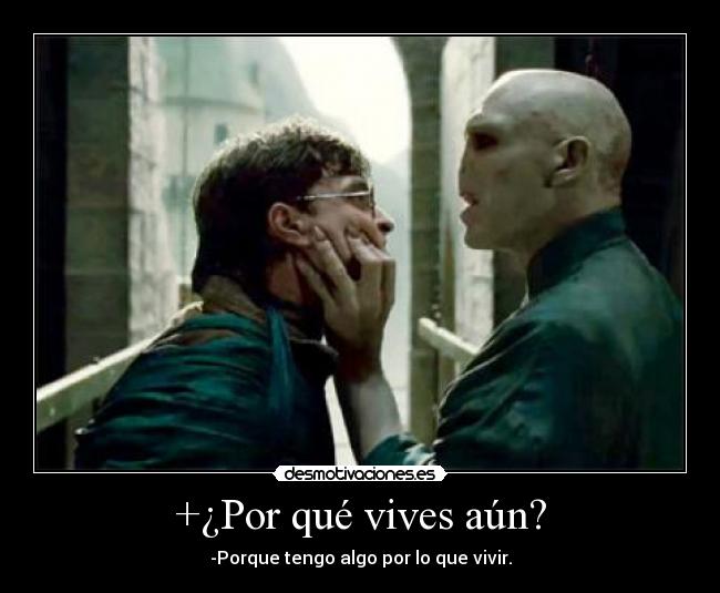 carteles harry potter desmotivaciones