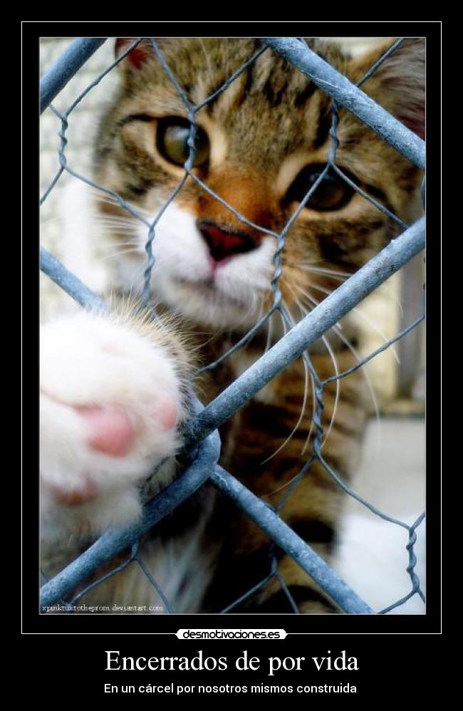 Encerrados de por vida - 