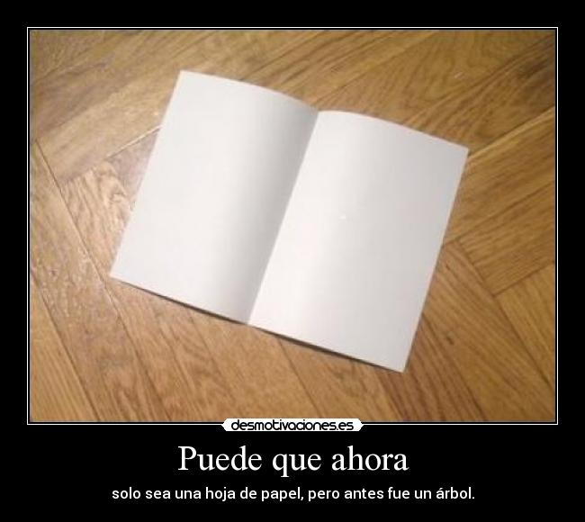 carteles puede que ahora desmotivaciones