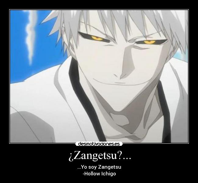 ¿Zangetsu?... - ...Yo soy Zangetsu
-Hollow Ichigo