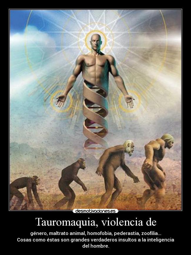 Tauromaquia, violencia de -