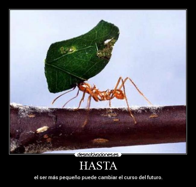 HASTA - 