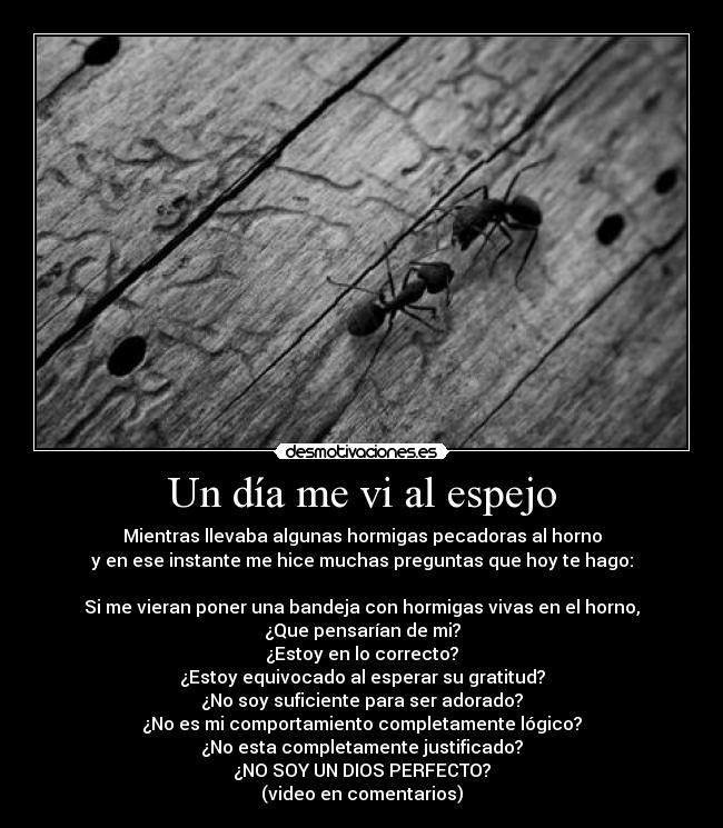 Un día me vi al espejo - Mientras llevaba algunas hormigas pecadoras al horno
y en ese instante me hice muchas preguntas que hoy te hago:
Si me vieran poner una bandeja con hormigas vivas en el horno,
¿Que pensarían de mi?
¿Estoy en lo correcto?
¿Estoy equivocado al esperar su gratitud?
¿No soy suficiente para ser adorado?
¿No es mi comportamiento completamente lógico?
¿No esta completamente justificado?
¿NO SOY UN DIOS PERFECTO?
(video en comentarios)