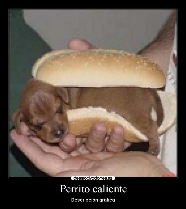 Perrito caliente -