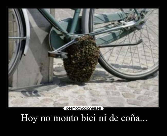Hoy no monto bici ni de coña... -
