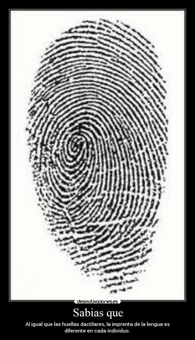 carteles sabias que desmotivaciones