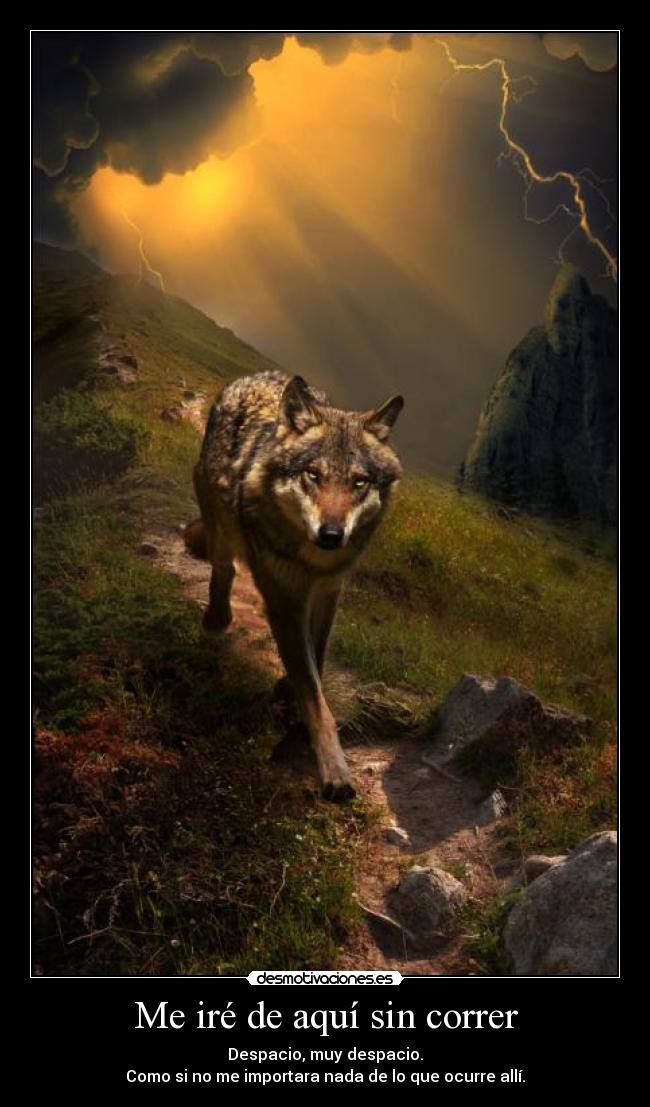carteles ire sin correr despacio desmotivaciones