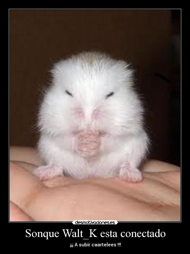 Sonque Walt_K esta conectado - ¡¡¡ A subir caartelees !!!