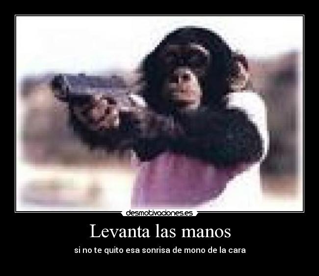 Levanta las manos - 