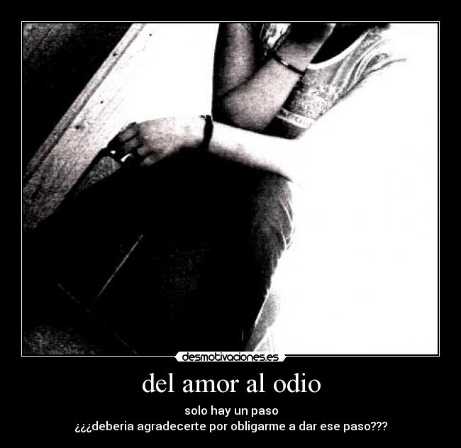 del amor al odio - 